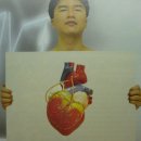 심장 돌연사의 원인과 예방 이미지