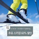[음악듣기무료 ♬] 스키의 계절 겨울~!! 전국 주요 스키장 60% 할인 추천 / 제이레빗(J Rabbit) - Winter wonderland 이미지