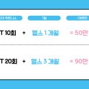 조지아휘트니스 이미지