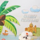 소르베 펫살롱 이미지