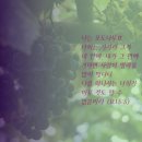 포도나무