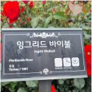 곡성-184 이미지