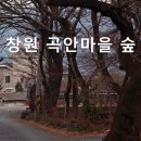 곡안