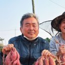 솔빛농원 이미지