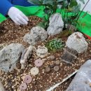 프로포즈 시즌2 이미지