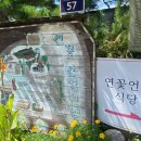 두물머리약초 이미지
