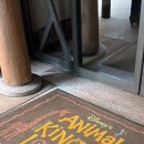 월트디즈니월드 리조트 탐방 #1 Disney’s Animal Kingdom Lodge