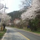 백양2리 이미지