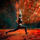 복싱크래쉬 이미지