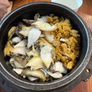 장금이회식당 | 제주도 현지인 찐 맛집 '장금이' 초초초강력 추천 후기 (feat. 내돈내산, 제주 인생 맛집, 제주 갈치...