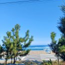 THE 좋은날펜션 | 울진) 207마일 펜션 - 조식이 나오는 풀빌라 복층 독채 오션뷰 펜션 6동 후기