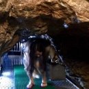 커피방(coffee BAANG) 이미지