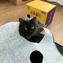 송송몰 이미지