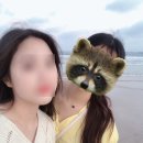 돈선농장 이미지