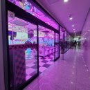 핑키펑키 이미지