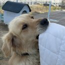 페리아 902 오션뷰 스파 펜션 이미지