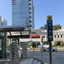 법무사김준식사무소 | 둔산동 속눈썹펌 추천 /크리크리 뷰티 스튜디오 방문 후기