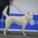 최응이 고수님 광고 이미지