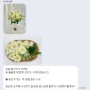 반데르센트 | [부산/부케선물]신부도 부케순이도 모두 만족한 부케 말리기💐 반데르센트 공방