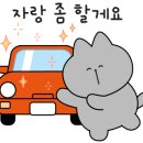 경주손세차Hcar광택