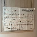 정통 호흡 요가 | 구로요가를 찾나요? 그럼 난 #늘요가필라테스 추천 (에볼루션플로우 그룹수련 후기)