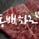 동백화로 - 중구 달구벌대로450길 20-3 | 동백화로