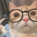 안경을,맞추다 이미지