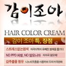 감이조아 이미지
