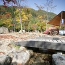 (주)현대그린푸드 서산주행시험장 | 소백산 자연휴양림