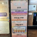 평창 아이와 가족들 가볼만한곳 용평공룡해양랜드 후기