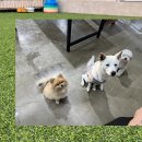 예쁜아이센터