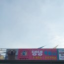 댕댕특별시 이미지