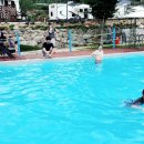 사)경남농아인협회밀양시지회 이미지