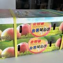 태용농장 | 복숭아맛집 피치컴퍼니 태우승복숭아 구매후기