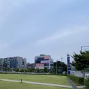 국제희토류금속(주) 강동지점 | [005] 어느덧 말복도 지나고(광복 하루 전날 광청종주)