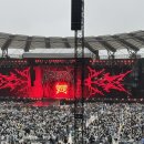 같이갈래? 이미지