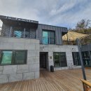 라파미 D 이미지