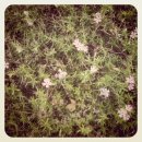 우리동네 감천 이미지