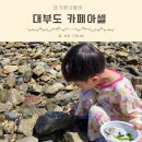 씨스페이스 정성점 | 대부도 아이랑 카페 투어, 모래놀이터가 있는 오션뷰 갯벌 뷰맛집 카페아셀 내돈내산