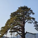 법주약국 이미지