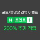 브로우핏