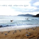 쿨한인생 네이버블로그