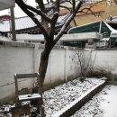 춘천동주