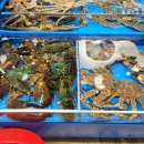 우성수산 이미지