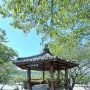 사덕시장 이미지