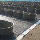 해아리농장 이미지