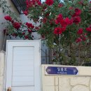 UR(동해시)-[발한로]-하-7 | 묵호 혼여행 당일치기 | 혼여행에 필요한 건 뜨개와 다이어리뿐