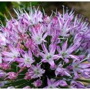 정선동강테라스민박 이미지