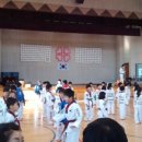 원미창조태권도 이미지