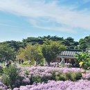 양덕동118 이미지